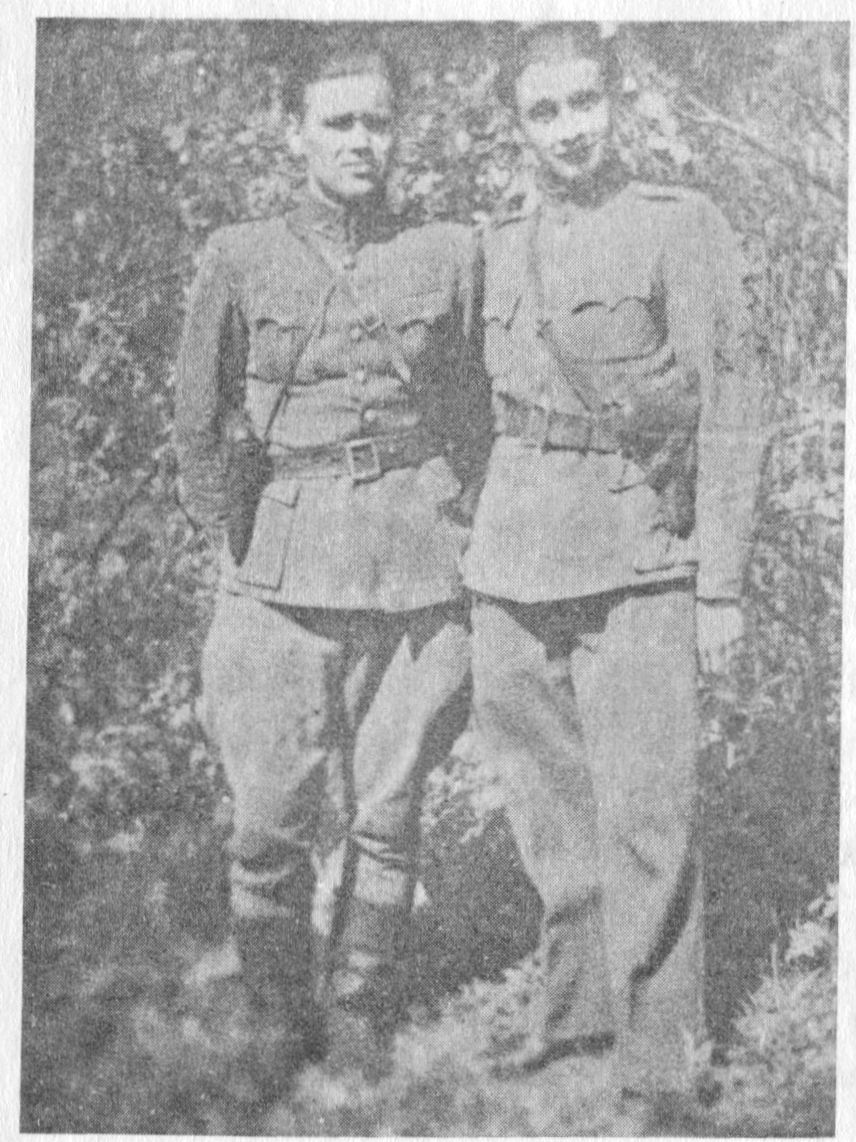 Vytautas Dručkus-Šernas, Andrius Dručkus-Kerštas