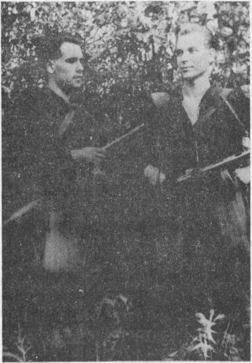 Albinas Dručkus-Sūnus, Juozas Streikus-Stumbras.