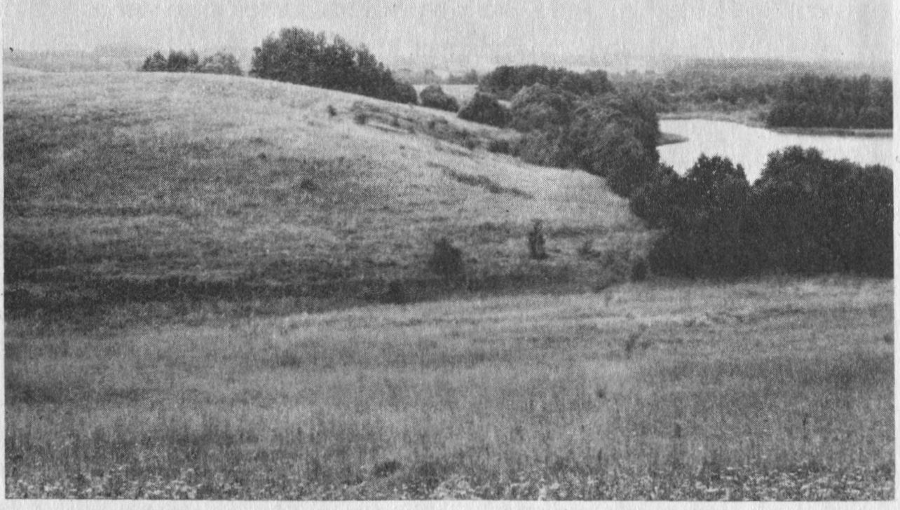 Lukštinių kaimo laukuose
