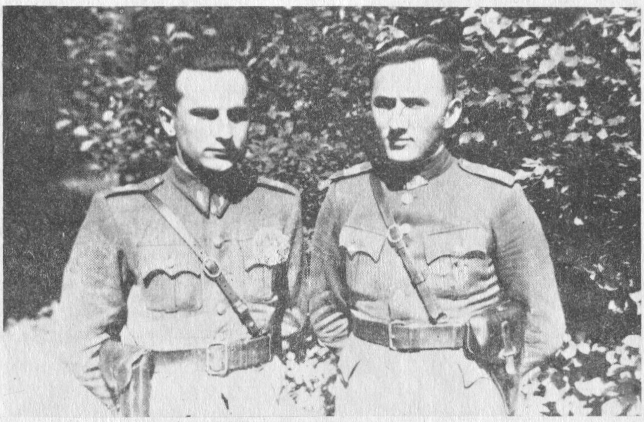 Vincas Araminas-Šermukšnis, Petras Araminas-Juodvarnis