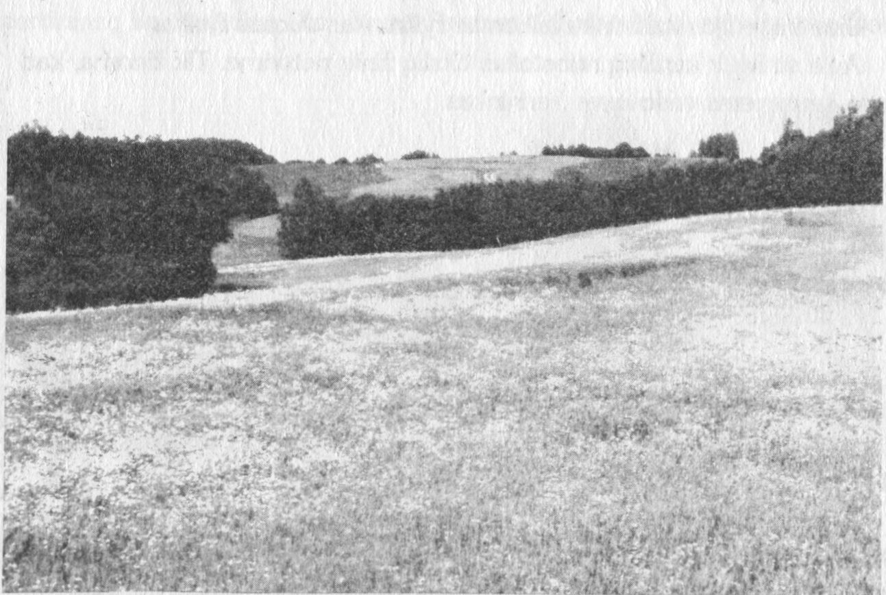Vaičėnų kaime