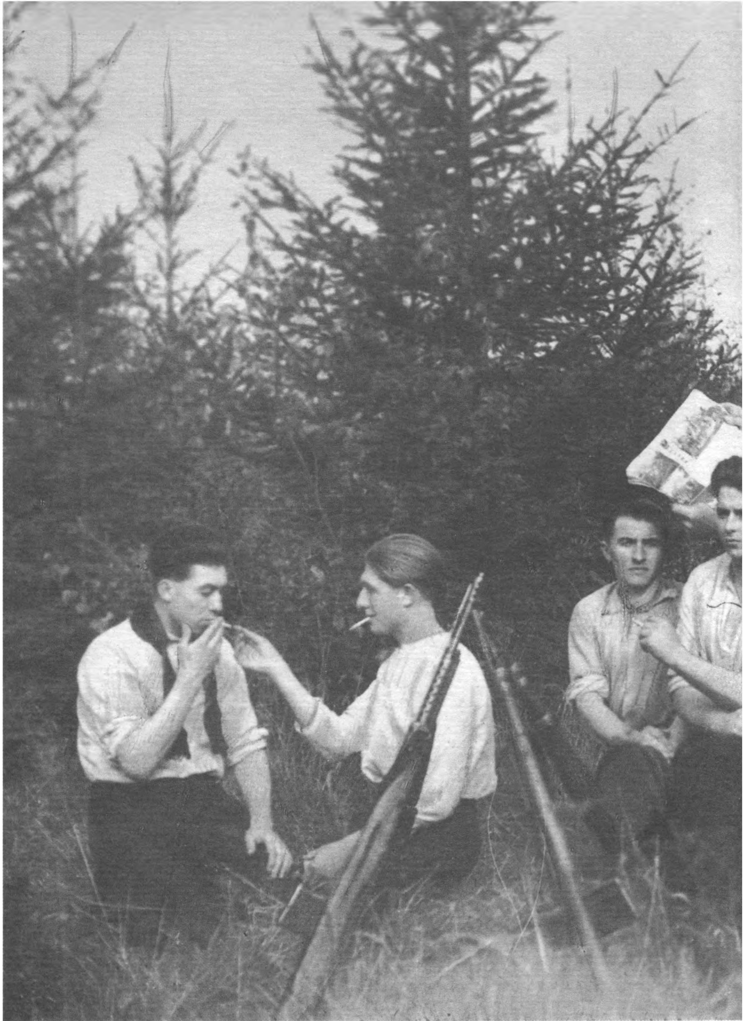 Žaliosios rinktinės partizanai: Bronius Stašys-Lapė, Kazys Mažylis, Jonas Vincevičius-Uža, Vytautas Krasauskas, Antanas Žygas -Aptiekorius, Jonas Žeimys -Bitinas, Antanas Tamulionis-Žiemys.