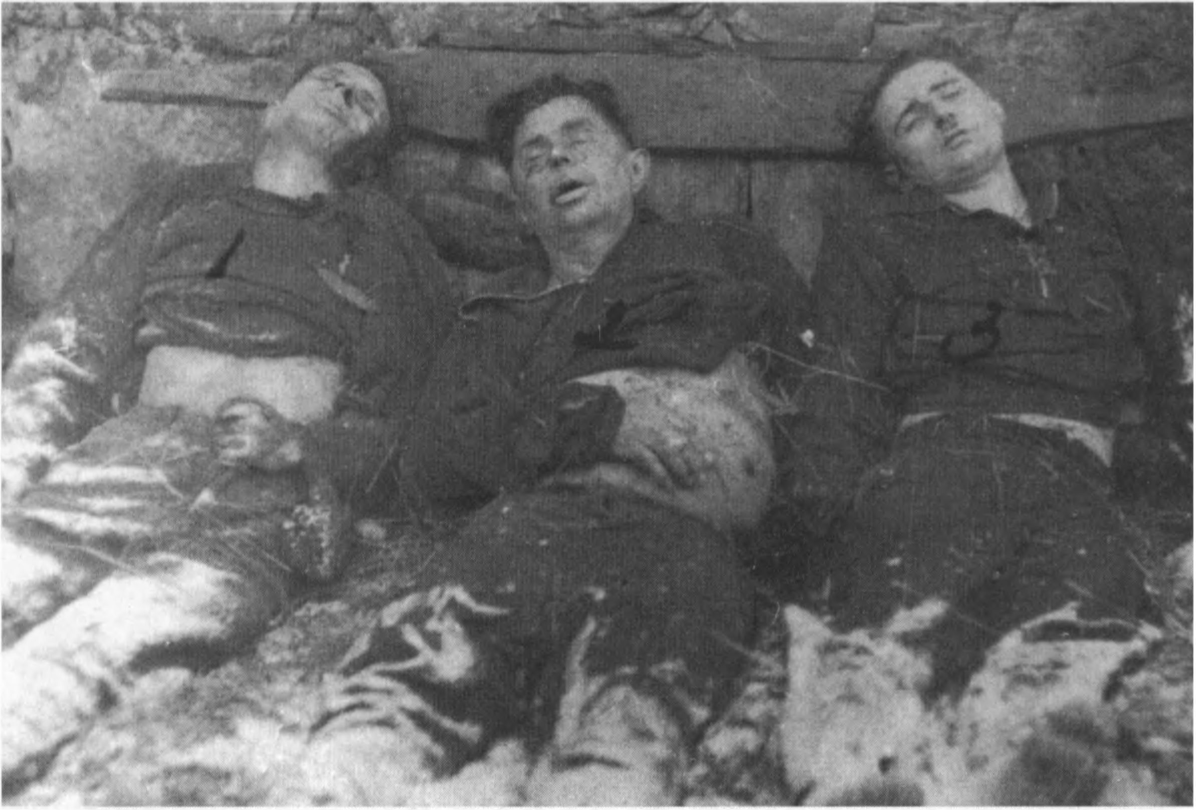 Žaliosios girios partizanai