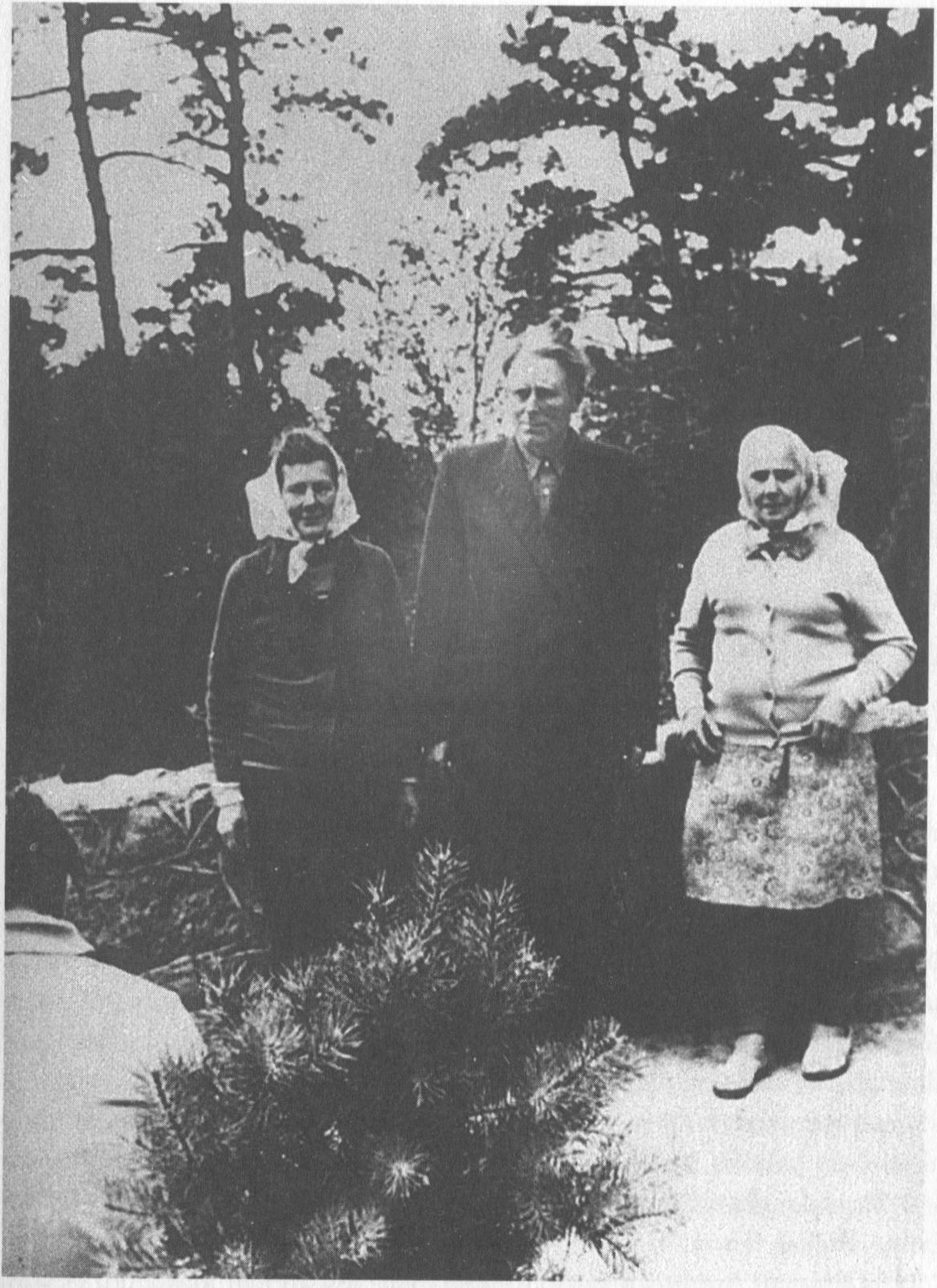 Veronika Krivickaitė-Mikelinskienė