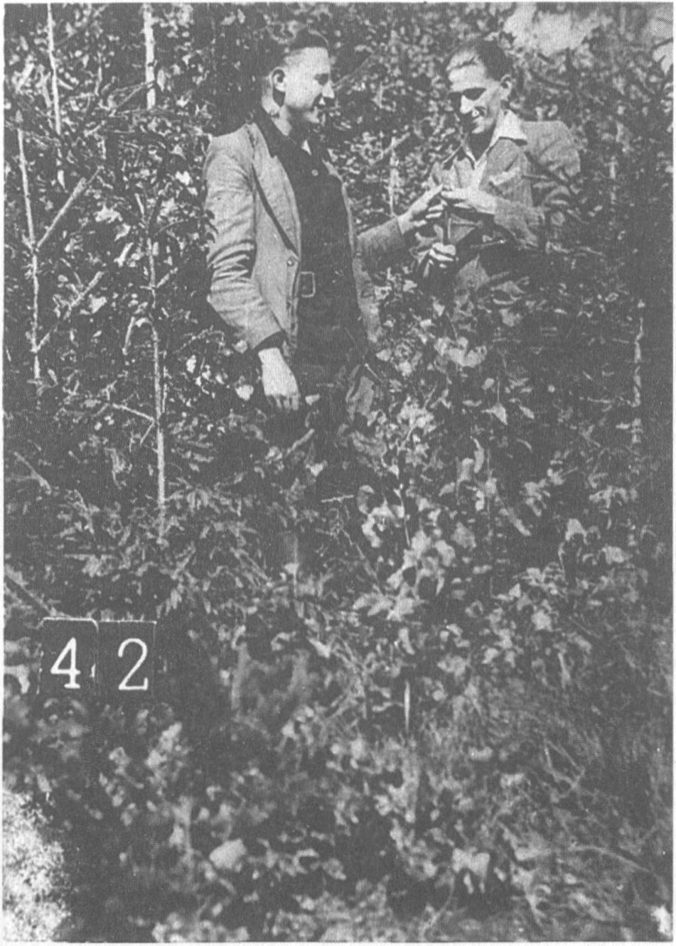 Mykolas Biinkevičius-Nemunas (kairėje) ir Kazys Šinkūnas-Ožys