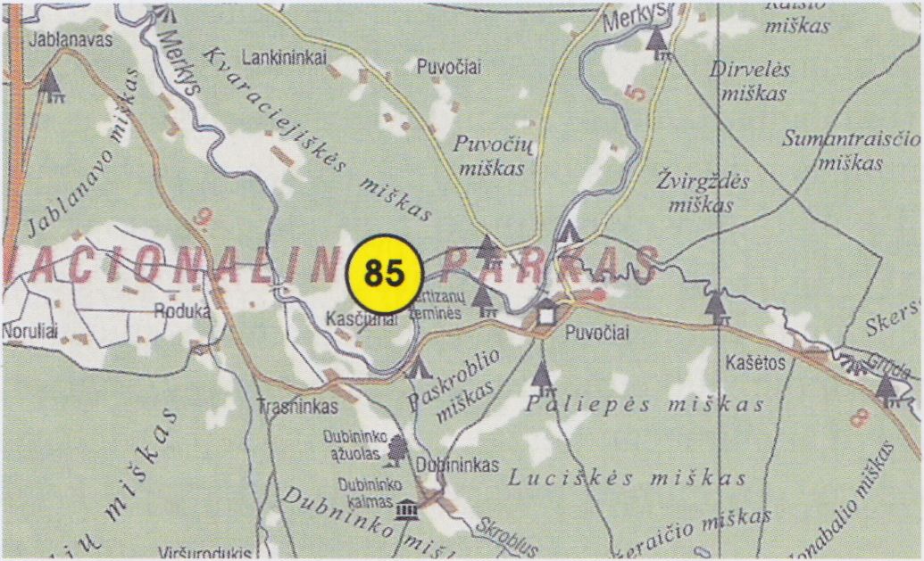 vieta