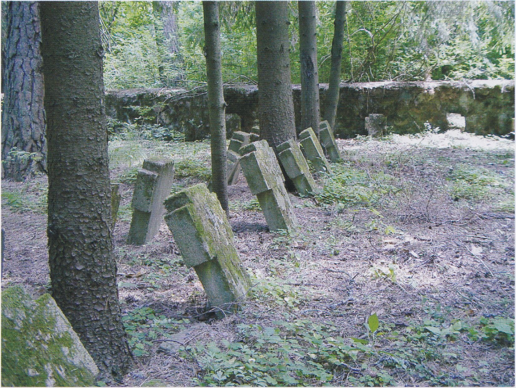 Pirmojo pasaulinio karo vokiečių karių kapai kairiajame Varėnės upės krante. 1936 m.