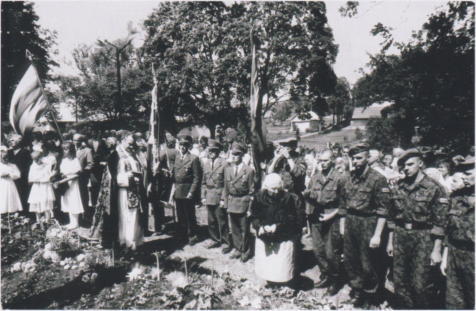 Partizanų palaikų laidotuvės ir ąžuolų memorialo šventinimo iškilmės Daugų kapinėse