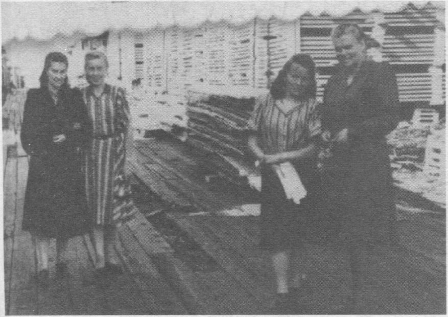 Lentų biržoje