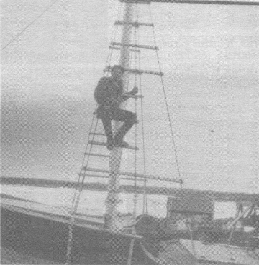 Priekinis baržos stiebas