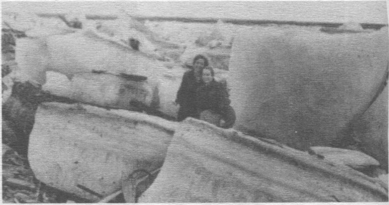 Aniceta Beržinskaitė ir Janina Barčienė