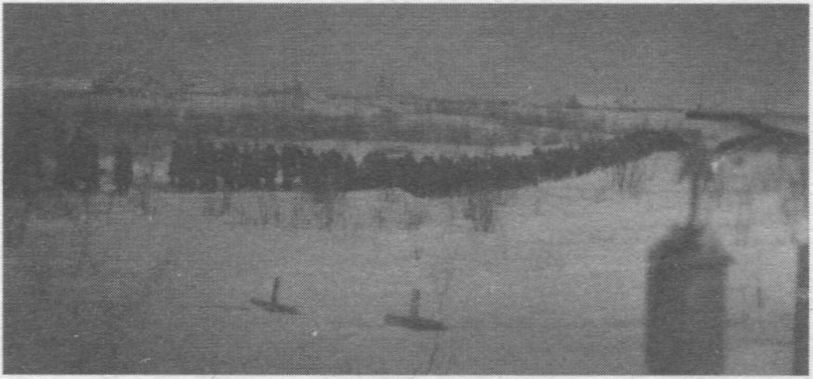 procesija