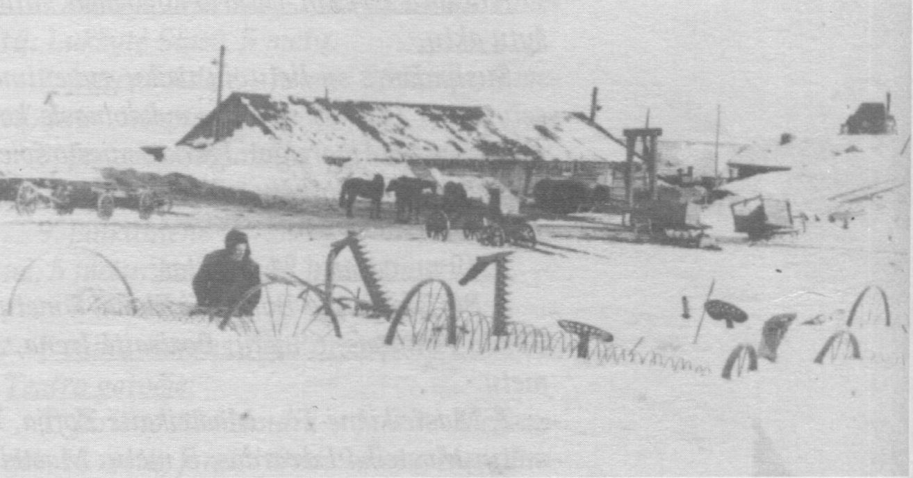 Arklidės