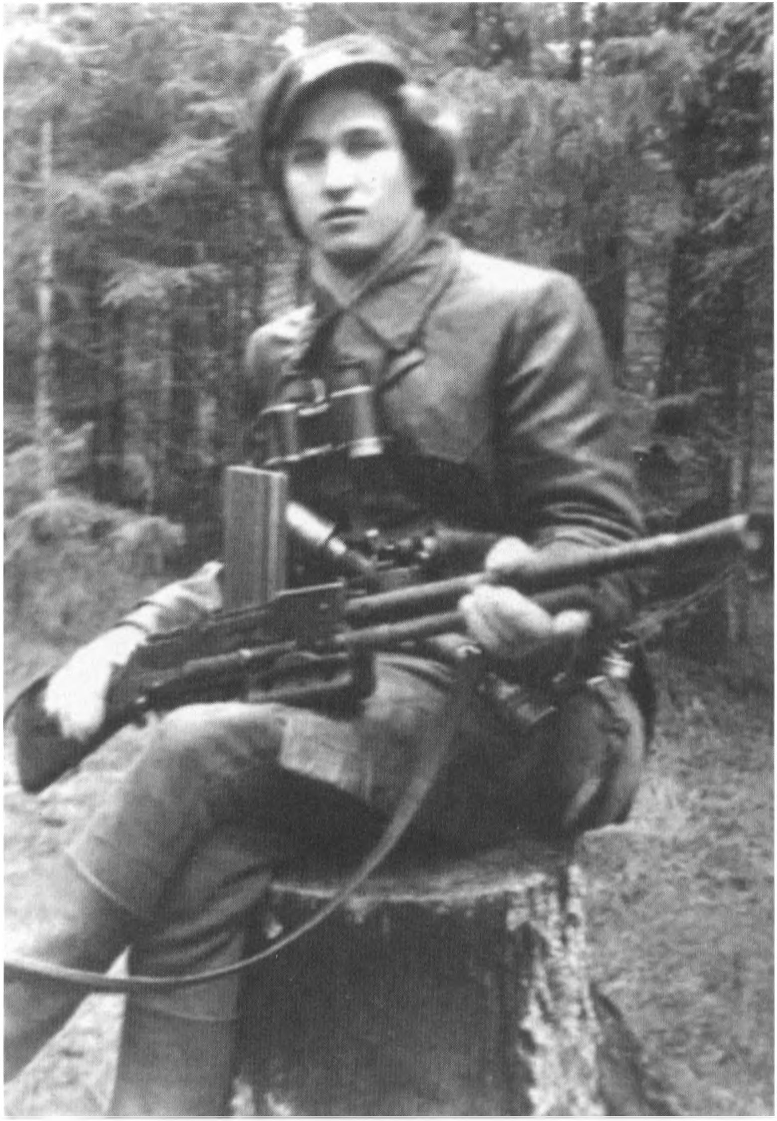 Molėtų partizanas