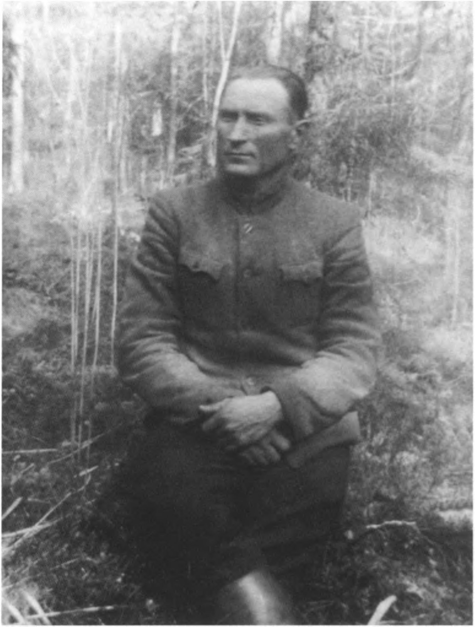 Mykolas Janulis-Tautvydas, Stumbras,