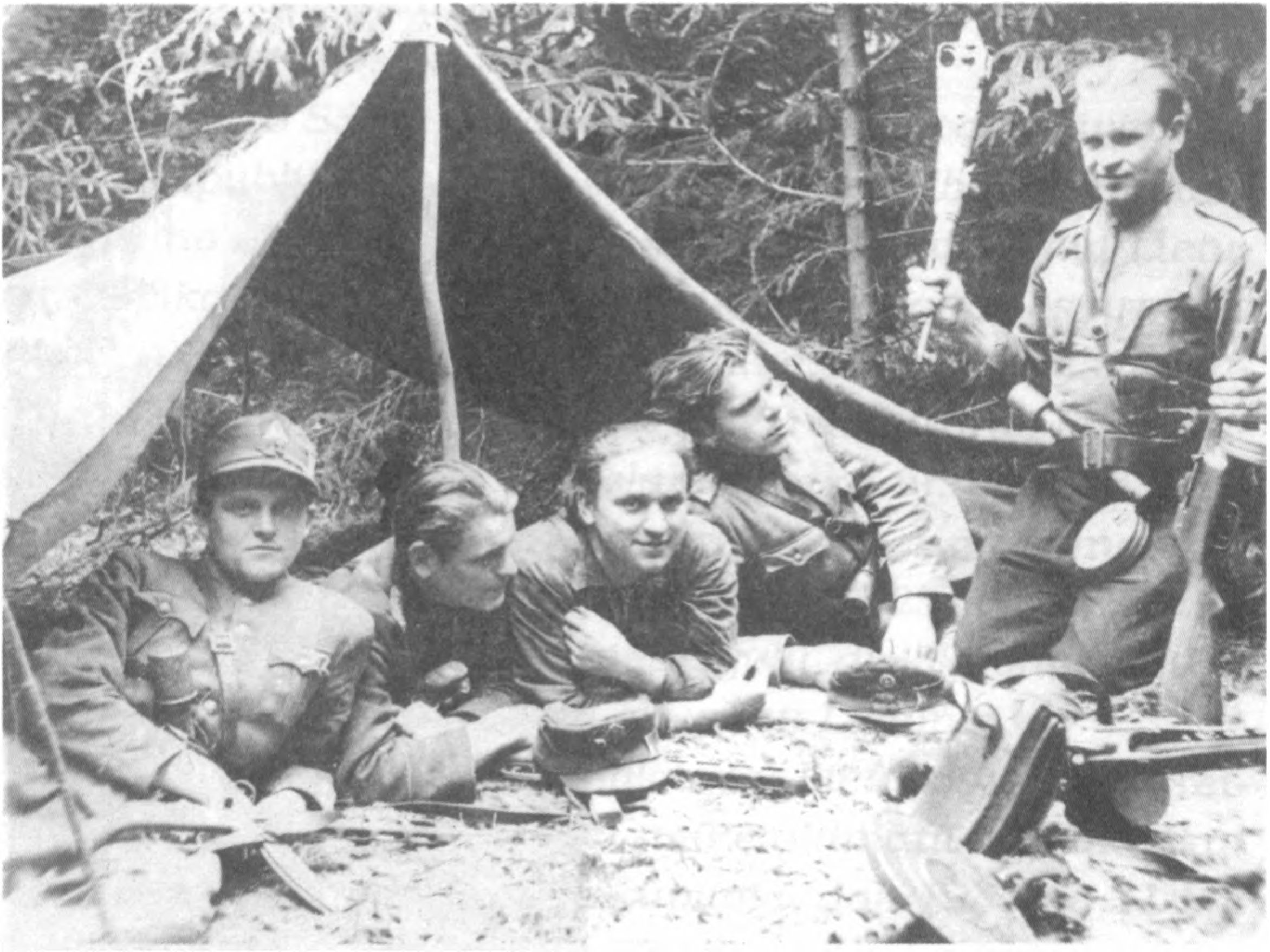 Narutis, Bebras, Kombainas, Krienas ir Likimas