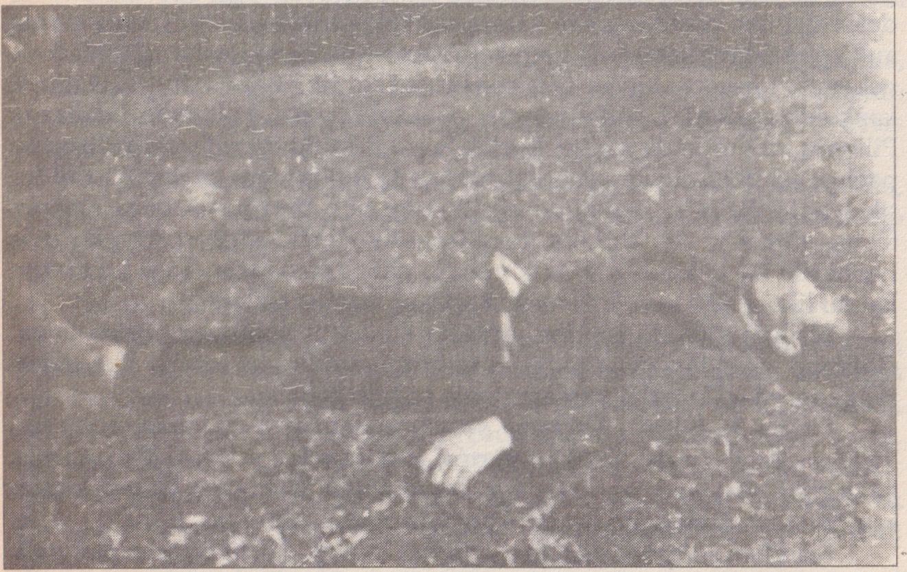 Leonardas Butvila, Gudžiūnų stribų nušautas 1949 m. kovo 23 d.
