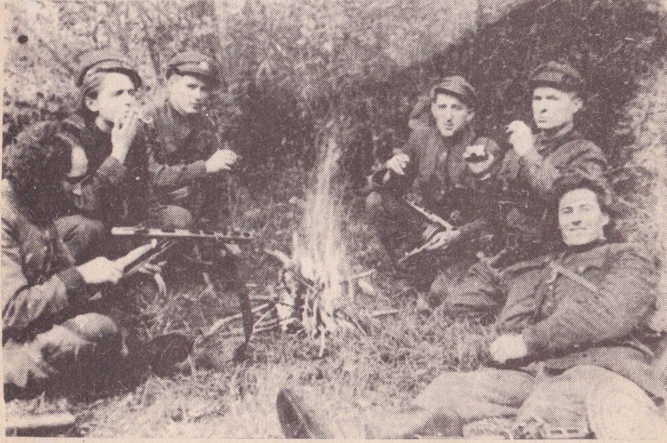 viršelis