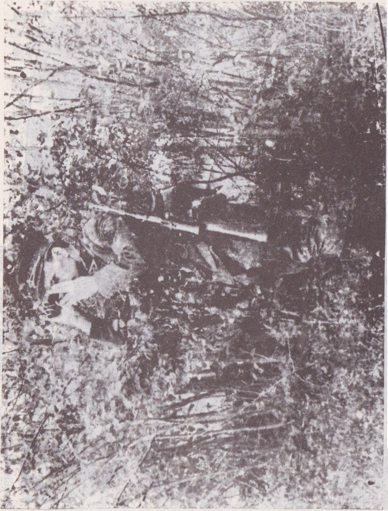 Žvalgyboje.
