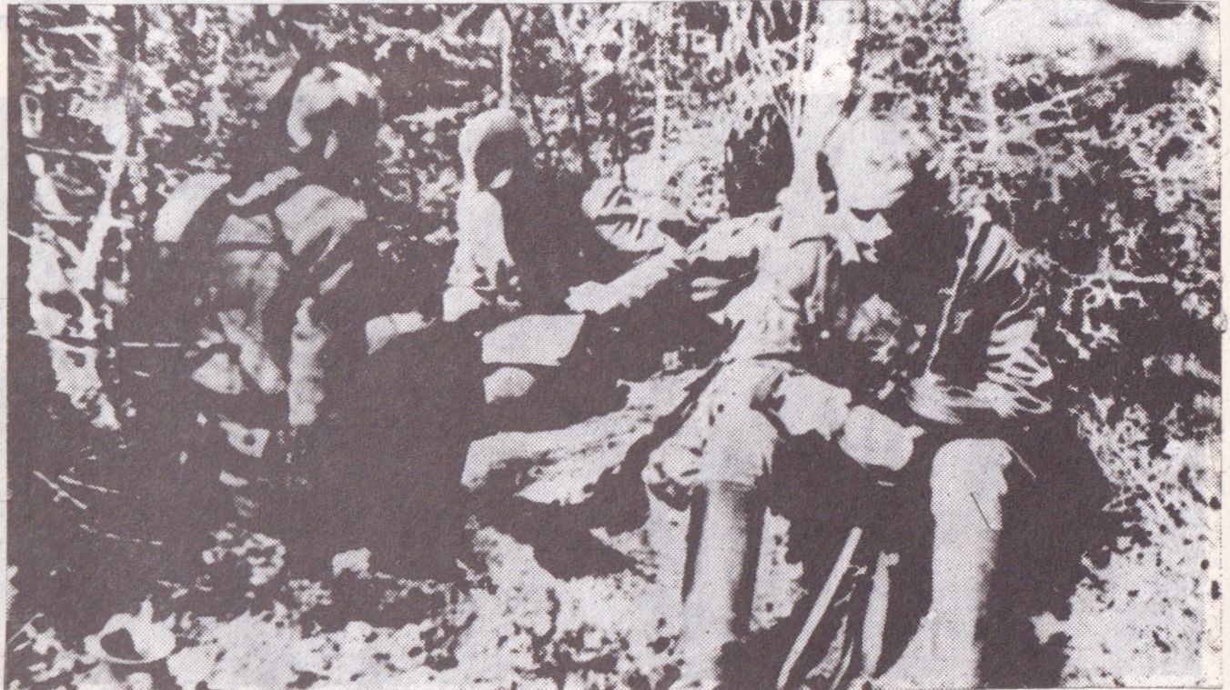 partizanai