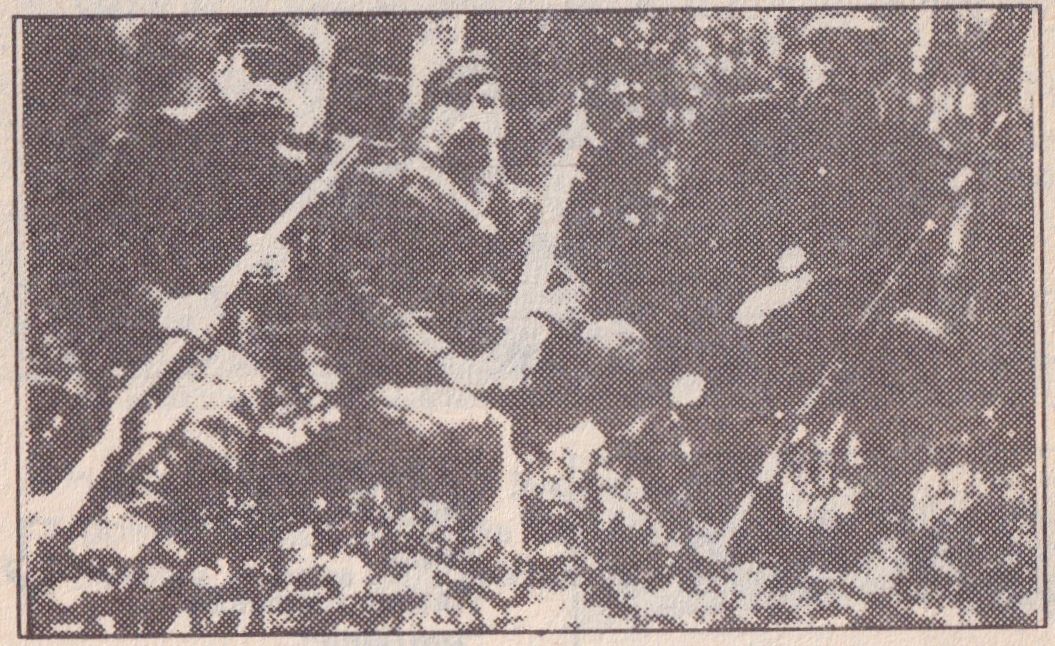 Vyties apygarda. Žaliosios rinktinės partizanai