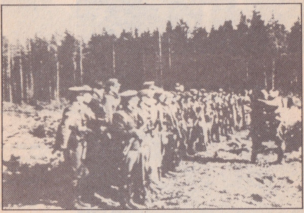 Algimanto apygardos partizanai Šimonių girioje apie 1948 m.